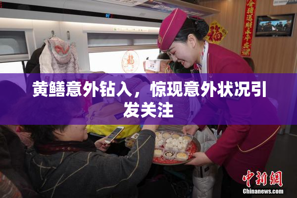 黄鳝意外钻入，惊现意外状况引发关注