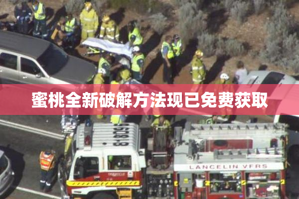 蜜桃全新破解方法现已免费获取