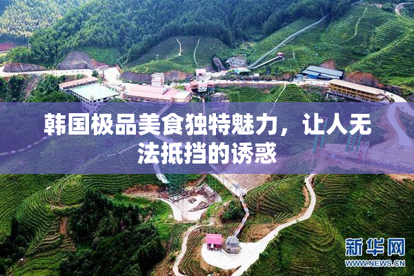 韩国极品美食独特魅力，让人无法抵挡的诱惑