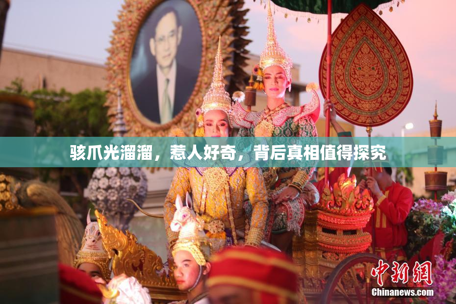 骇爪光溜溜，惹人好奇，背后真相值得探究