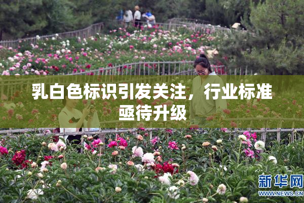 乳白色标识引发关注，行业标准亟待升级