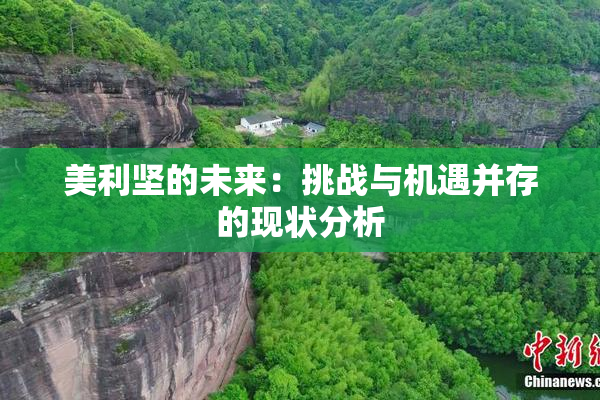 美利坚的未来：挑战与机遇并存的现状分析