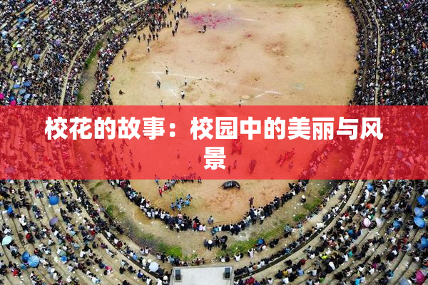 校花的故事：校园中的美丽与风景
