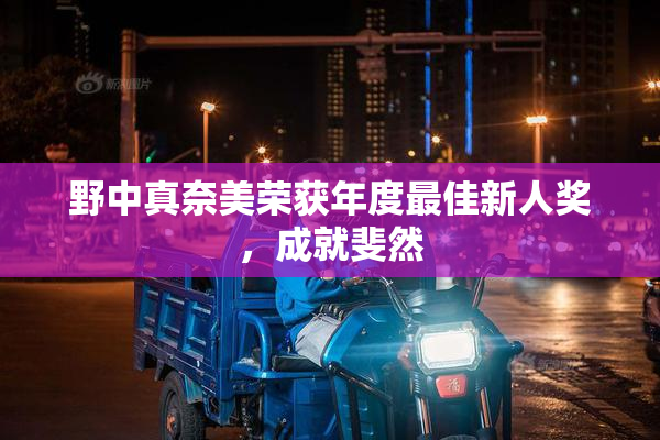 野中真奈美荣获年度最佳新人奖，成就斐然