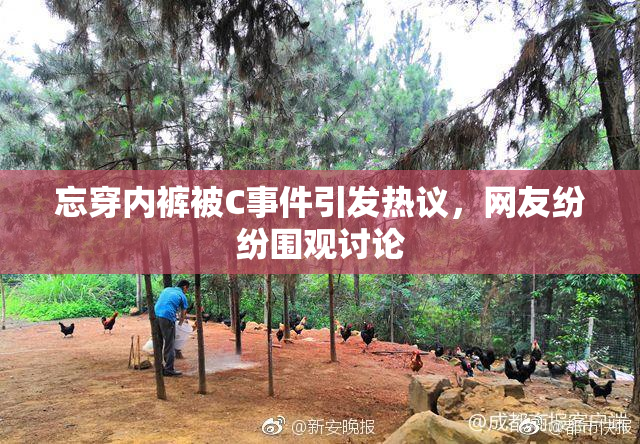 忘穿内裤被C事件引发热议，网友纷纷围观讨论
