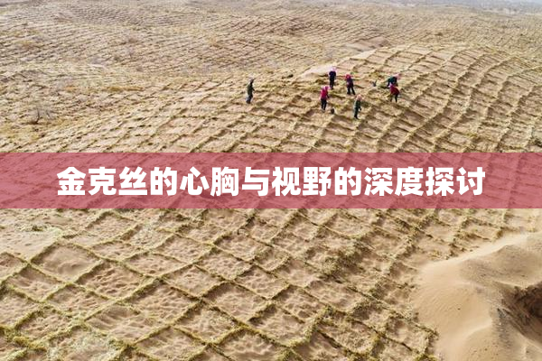 金克丝的心胸与视野的深度探讨