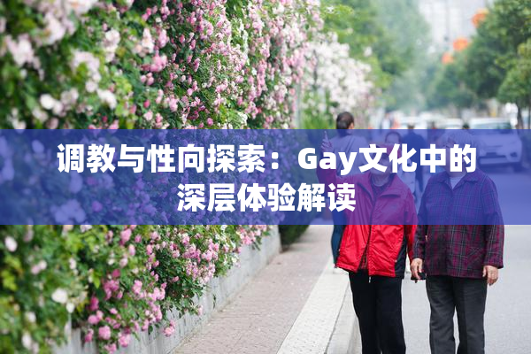调教与性向探索：Gay文化中的深层体验解读