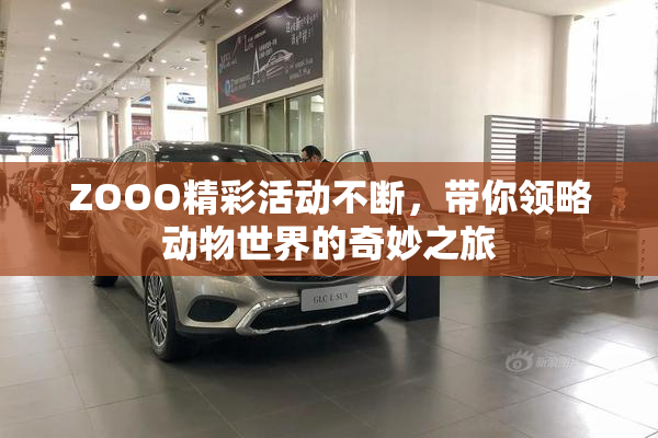 ZOOO精彩活动不断，带你领略动物世界的奇妙之旅