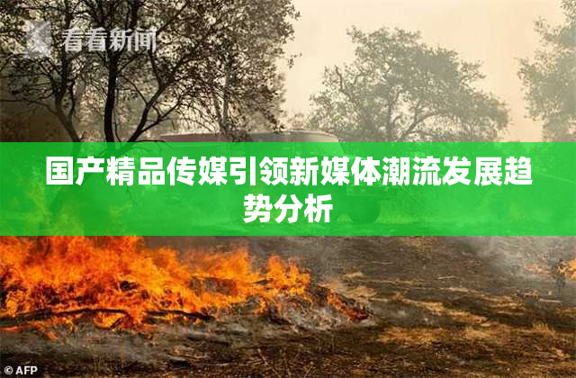 国产精品传媒引领新媒体潮流发展趋势分析