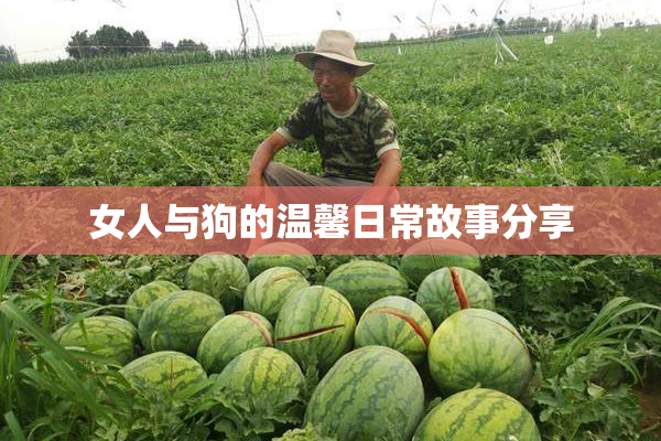 女人与狗的温馨日常故事分享
