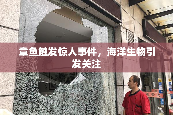章鱼触发惊人事件，海洋生物引发关注