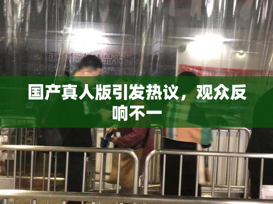 国产真人版引发热议，观众反响不一