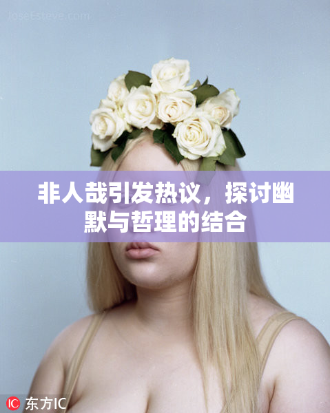 非人哉引发热议，探讨幽默与哲理的结合