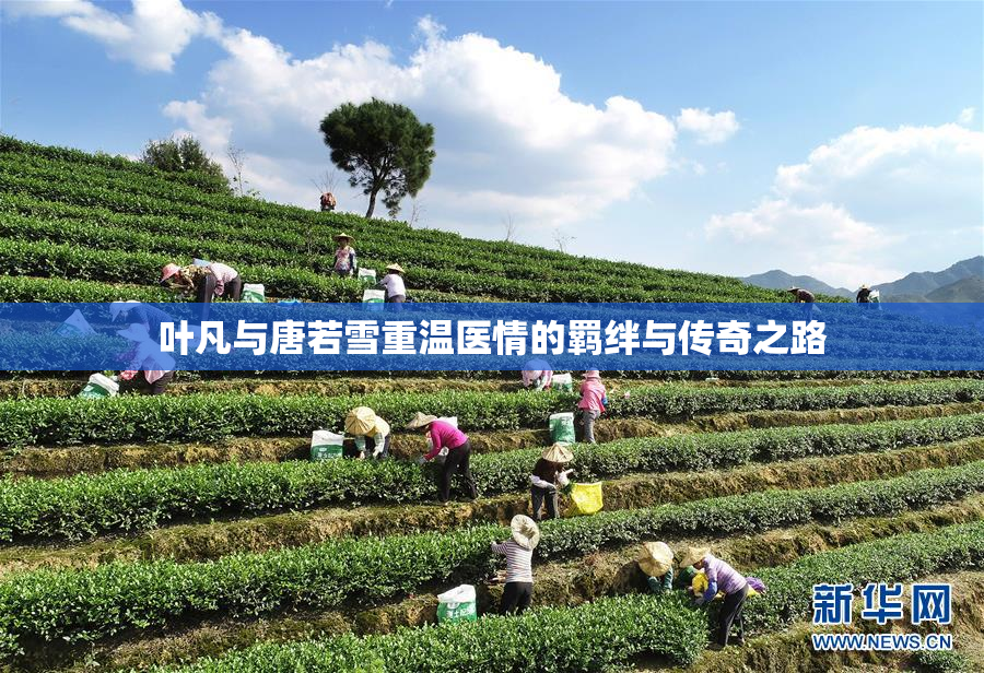 叶凡与唐若雪重温医情的羁绊与传奇之路