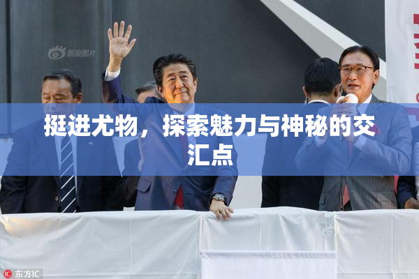 挺进尤物，探索魅力与神秘的交汇点