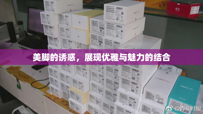 美脚的诱惑，展现优雅与魅力的结合