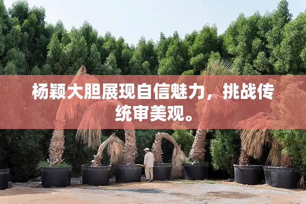 杨颖大胆展现自信魅力，挑战传统审美观。