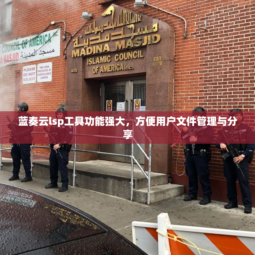 蓝奏云lsp工具功能强大，方便用户文件管理与分享