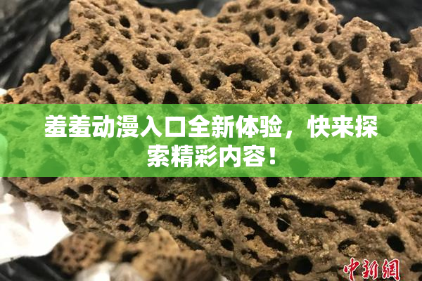 羞羞动漫入口全新体验，快来探索精彩内容！