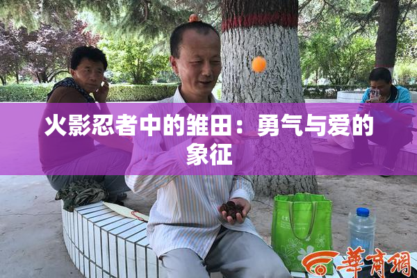 火影忍者中的雏田：勇气与爱的象征