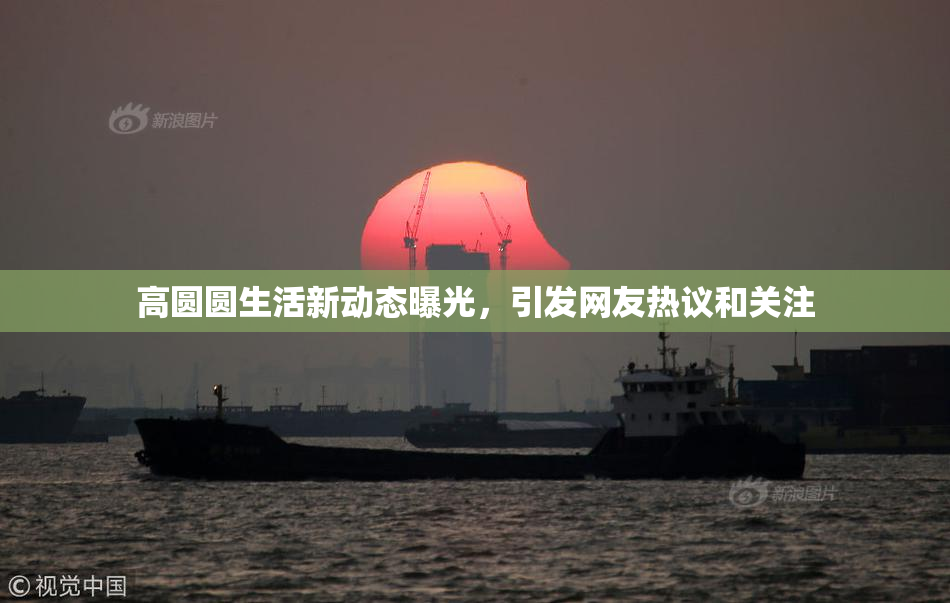 高圆圆生活新动态曝光，引发网友热议和关注