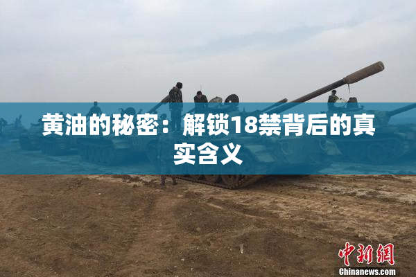 黄油的秘密：解锁18禁背后的真实含义