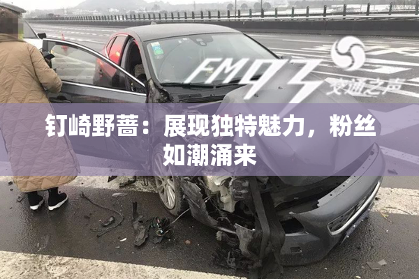 钉崎野蔷：展现独特魅力，粉丝如潮涌来
