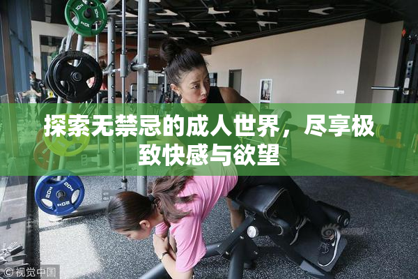 探索无禁忌的成人世界，尽享极致快感与欲望