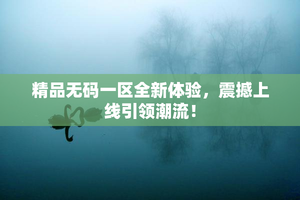 精品无码一区全新体验，震撼上线引领潮流！