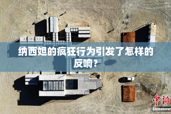纳西妲的疯狂行为引发了怎样的反响？