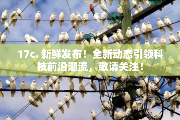 17c. 新鲜发布！全新动态引领科技前沿潮流，敬请关注！