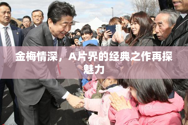 金梅情深，A片界的经典之作再探魅力