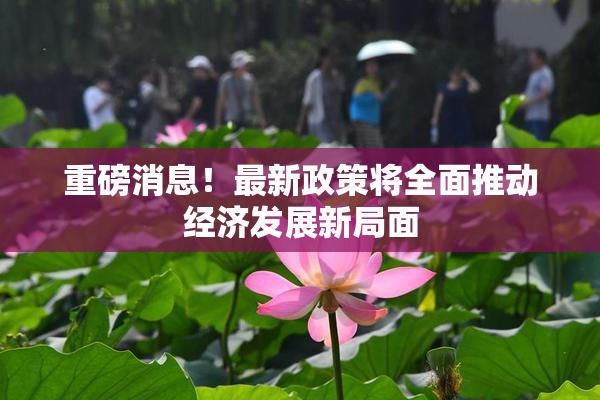 重磅消息！最新政策将全面推动经济发展新局面