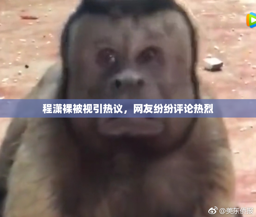 程潇裸被视引热议，网友纷纷评论热烈