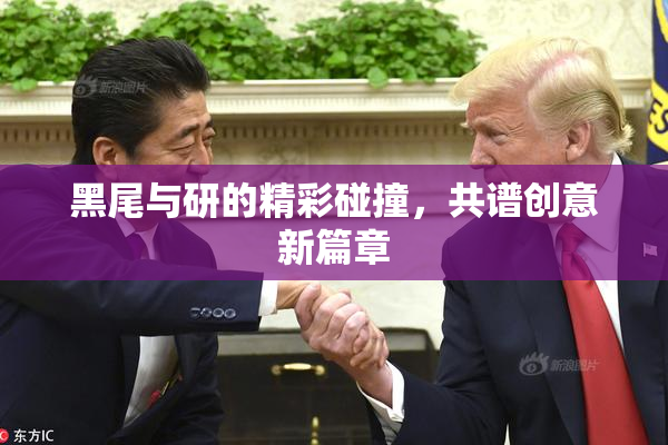 黑尾与研的精彩碰撞，共谱创意新篇章