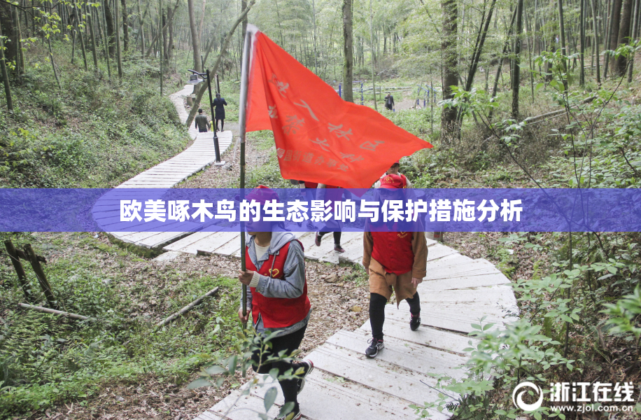 欧美啄木鸟的生态影响与保护措施分析
