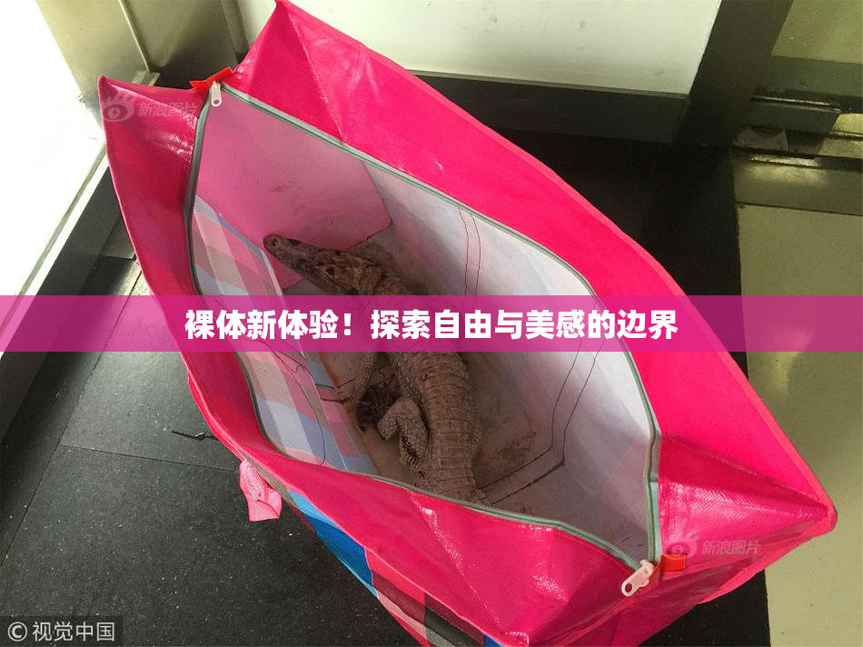 裸体新体验！探索自由与美感的边界
