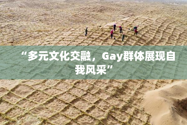 “多元文化交融，Gay群体展现自我风采”