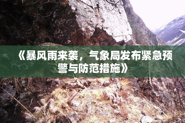 《暴风雨来袭，气象局发布紧急预警与防范措施》