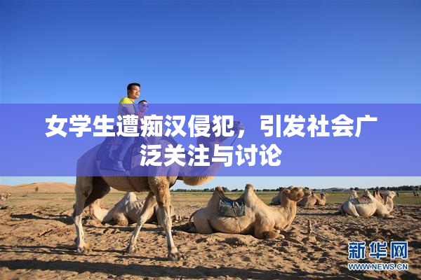 女学生遭痴汉侵犯，引发社会广泛关注与讨论