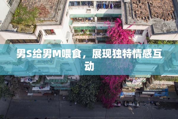 男S给男M喂食，展现独特情感互动