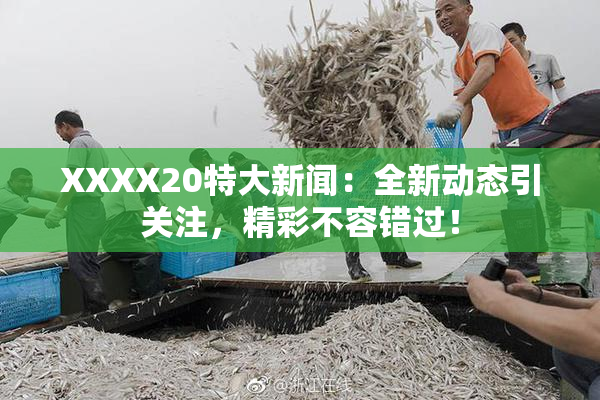 XXXX20特大新闻：全新动态引关注，精彩不容错过！