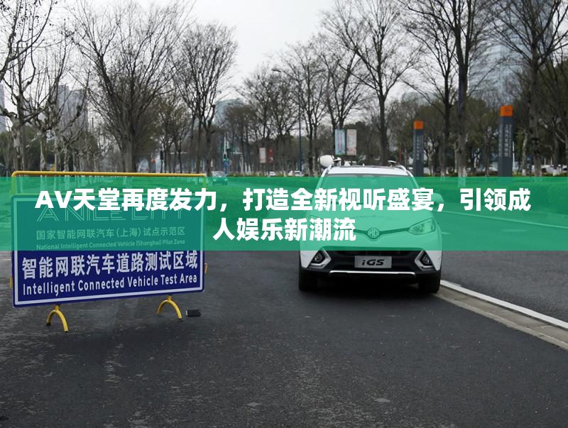 AV天堂再度发力，打造全新视听盛宴，引领成人娱乐新潮流