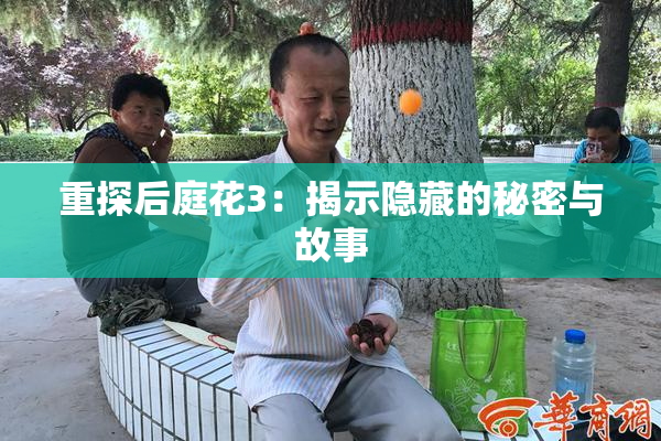 重探后庭花3：揭示隐藏的秘密与故事