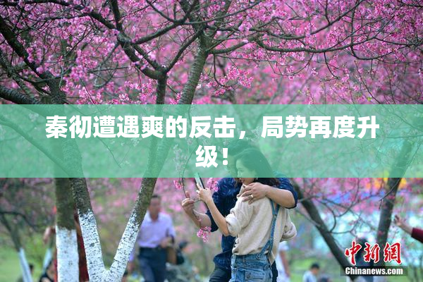 秦彻遭遇爽的反击，局势再度升级！