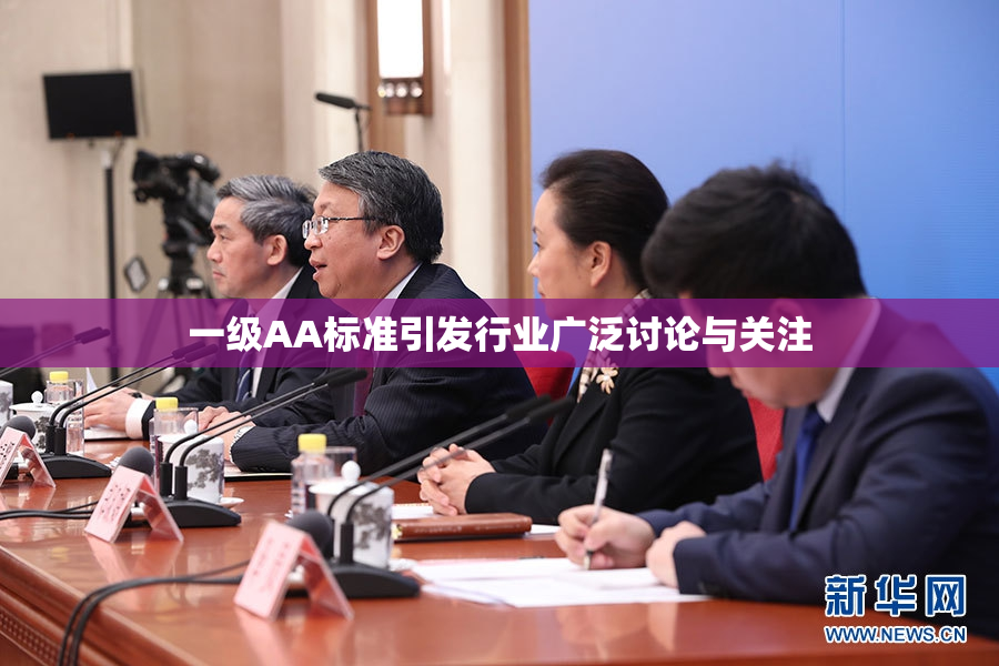 一级AA标准引发行业广泛讨论与关注