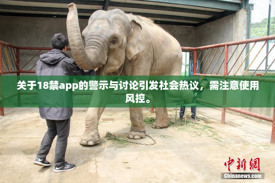 关于18禁app的警示与讨论引发社会热议，需注意使用风控。