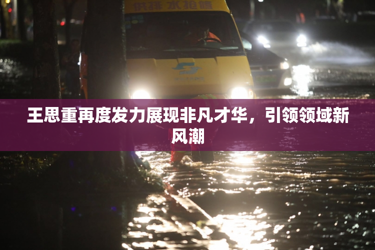 王思重再度发力展现非凡才华，引领领域新风潮