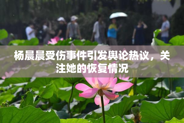 杨晨晨受伤事件引发舆论热议，关注她的恢复情况
