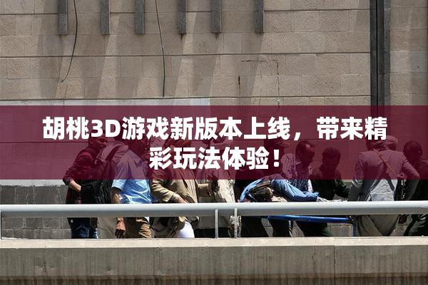 胡桃3D游戏新版本上线，带来精彩玩法体验！